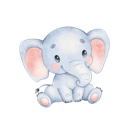 Daxiang Paid VPN, 巨象付费梯子加速器