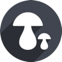 Mogu Paid VPN, 蘑菇付费梯子加速器