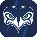 Tuoniao Paid VPN, 鸵鸟付费梯子加速器