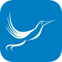 Fengniao Paid VPN, 蜂鸟应用付费梯子加速器