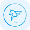 Feima Paid VPN